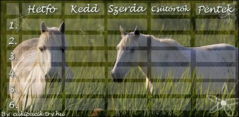 wildhorse68474.jpg